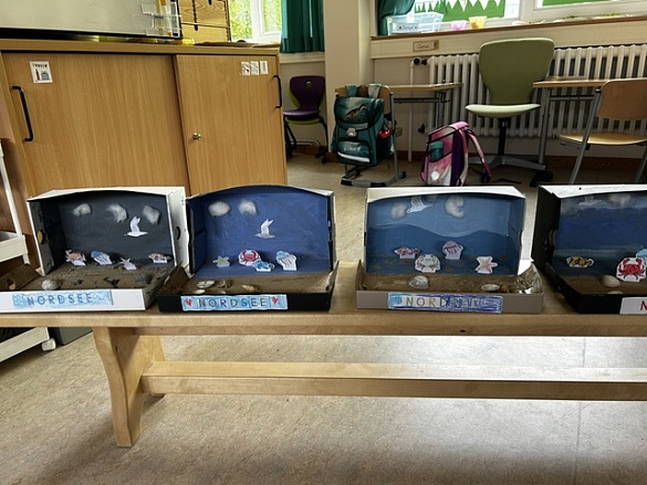 Unterwasserwelt im Schuhkarton 1