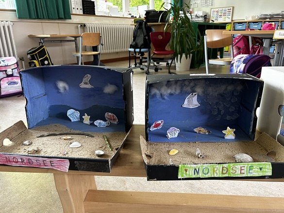 Unterwasserwelt im Schuhkarton 1